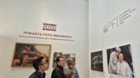 smsi (9)