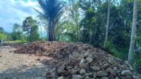 Nampak Batu berserakan dilahan milik warga