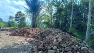 Nampak Batu berserakan dilahan milik warga