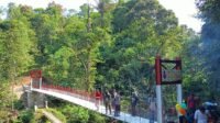 IMG-20260804-WA0017